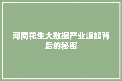 河南花生大数据产业崛起背后的秘密