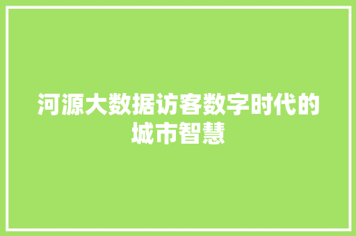 河源大数据访客数字时代的城市智慧