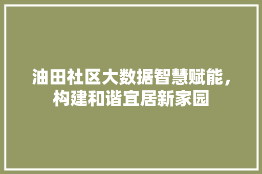 油田社区大数据智慧赋能，构建和谐宜居新家园