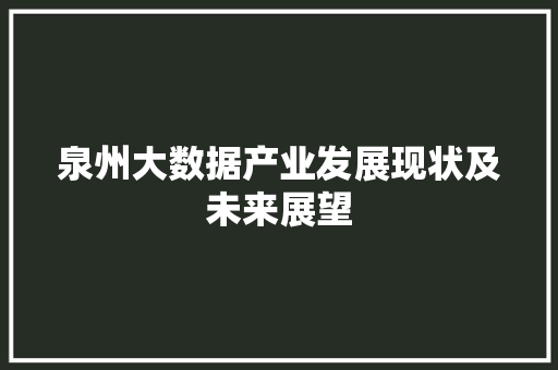 泉州大数据产业发展现状及未来展望