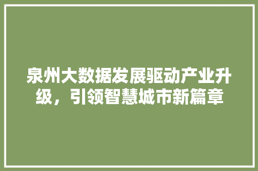 泉州大数据发展驱动产业升级，引领智慧城市新篇章