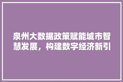泉州大数据政策赋能城市智慧发展，构建数字经济新引擎