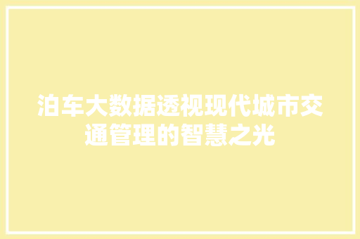 泊车大数据透视现代城市交通管理的智慧之光 WordPress教程