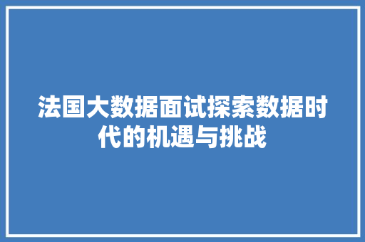 法国大数据面试探索数据时代的机遇与挑战