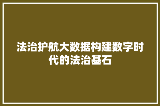 法治护航大数据构建数字时代的法治基石