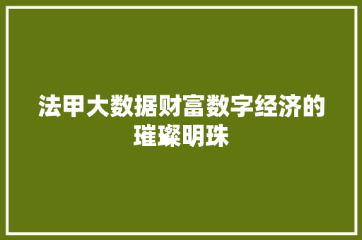 法甲大数据财富数字经济的璀璨明珠