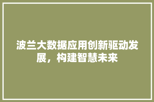 波兰大数据应用创新驱动发展，构建智慧未来