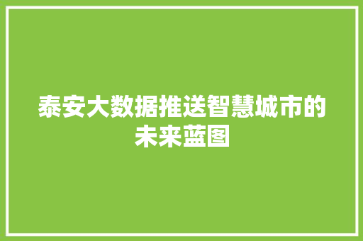 泰安大数据推送智慧城市的未来蓝图 友链在线