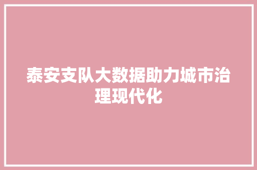 泰安支队大数据助力城市治理现代化