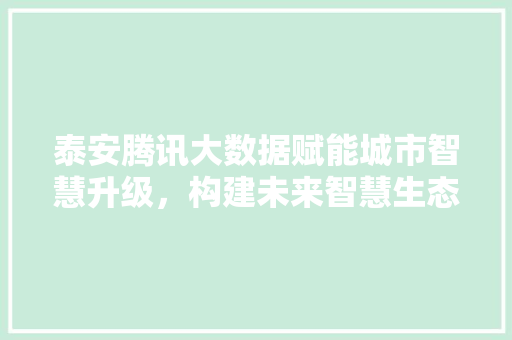 泰安腾讯大数据赋能城市智慧升级，构建未来智慧生态圈