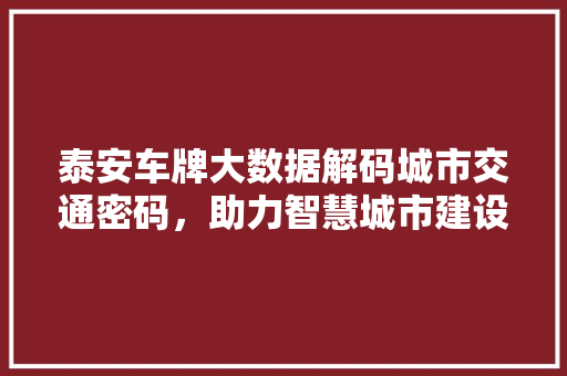 泰安车牌大数据解码城市交通密码，助力智慧城市建设