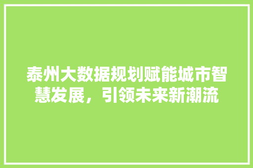 泰州大数据规划赋能城市智慧发展，引领未来新潮流