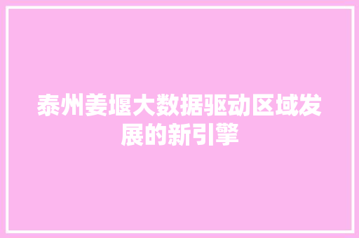 泰州姜堰大数据驱动区域发展的新引擎