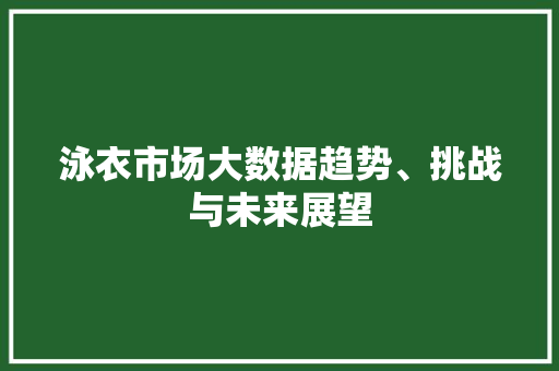 泳衣市场大数据趋势、挑战与未来展望