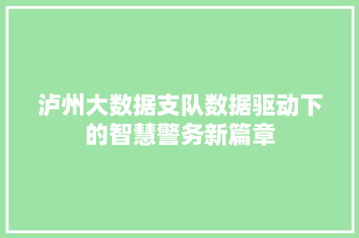 泸州大数据支队数据驱动下的智慧警务新篇章