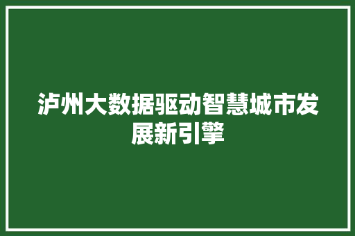 泸州大数据驱动智慧城市发展新引擎