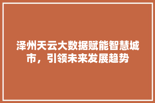 泽州天云大数据赋能智慧城市，引领未来发展趋势