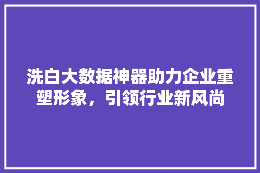 洗白大数据神器助力企业重塑形象，引领行业新风尚