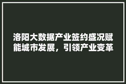 洛阳大数据产业签约盛况赋能城市发展，引领产业变革