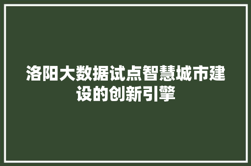 洛阳大数据试点智慧城市建设的创新引擎