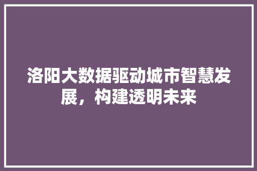 洛阳大数据驱动城市智慧发展，构建透明未来