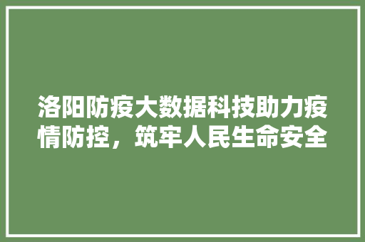 洛阳防疫大数据科技助力疫情防控，筑牢人民生命安全防线