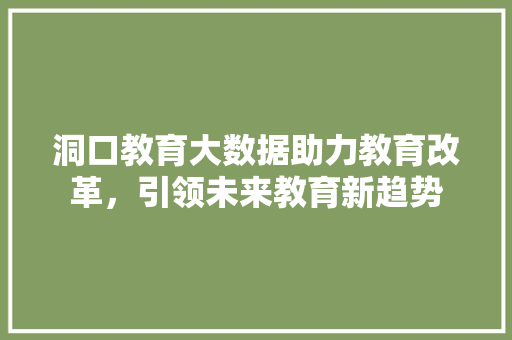 洞口教育大数据助力教育改革，引领未来教育新趋势