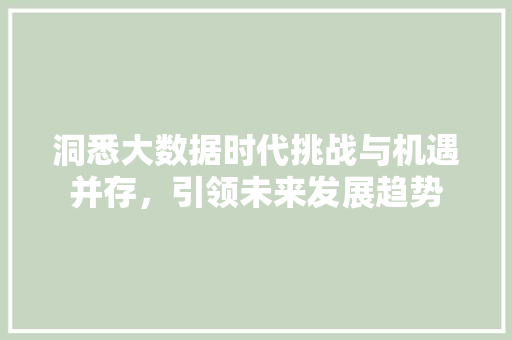 洞悉大数据时代挑战与机遇并存，引领未来发展趋势