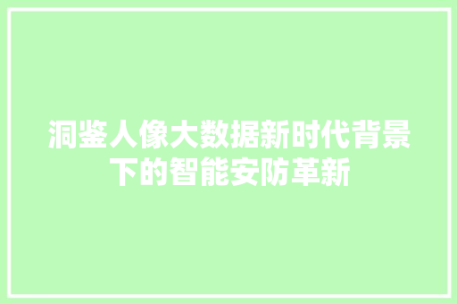 洞鉴人像大数据新时代背景下的智能安防革新