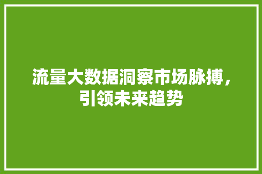 流量大数据洞察市场脉搏，引领未来趋势
