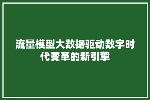 流量模型大数据驱动数字时代变革的新引擎