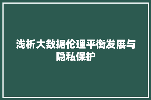 浅析大数据伦理平衡发展与隐私保护