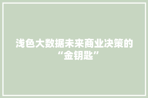 浅色大数据未来商业决策的“金钥匙”