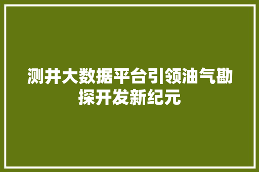 测井大数据平台引领油气勘探开发新纪元