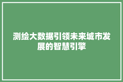 测绘大数据引领未来城市发展的智慧引擎