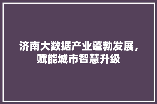 济南大数据产业蓬勃发展，赋能城市智慧升级