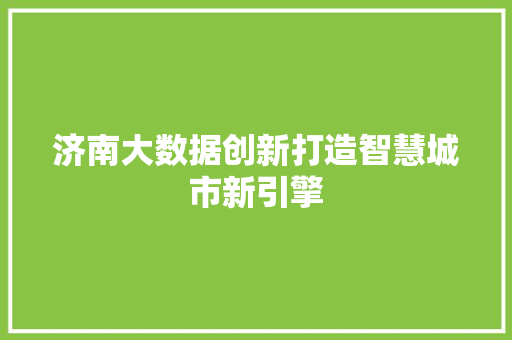 济南大数据创新打造智慧城市新引擎