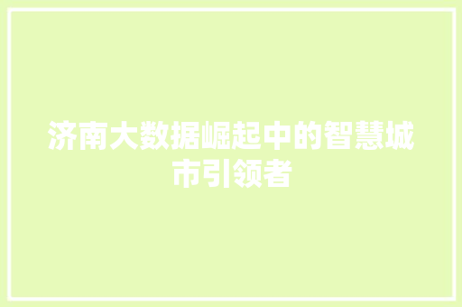 济南大数据崛起中的智慧城市引领者