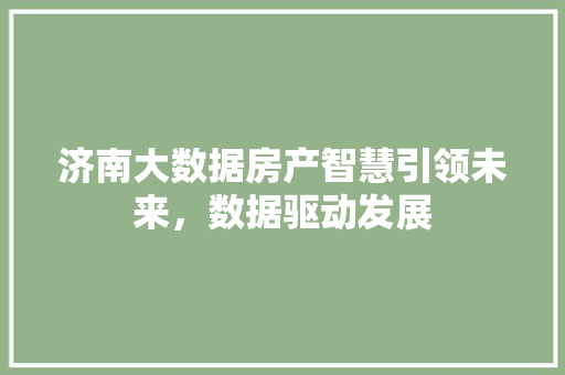 济南大数据房产智慧引领未来，数据驱动发展