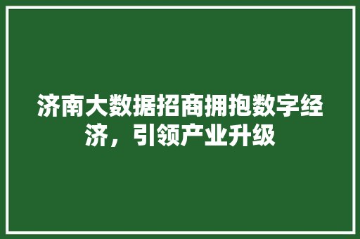 济南大数据招商拥抱数字经济，引领产业升级