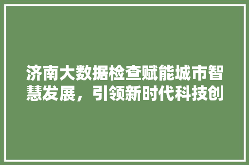 济南大数据检查赋能城市智慧发展，引领新时代科技创新