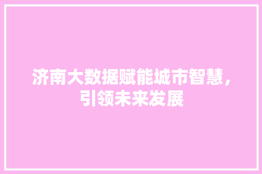 济南大数据赋能城市智慧，引领未来发展