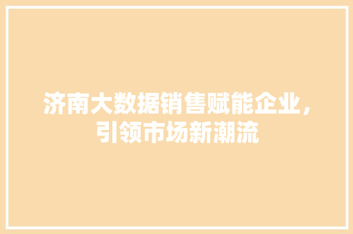 济南大数据销售赋能企业，引领市场新潮流