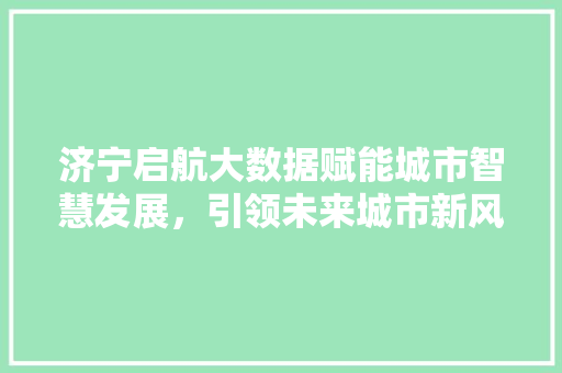 济宁启航大数据赋能城市智慧发展，引领未来城市新风尚