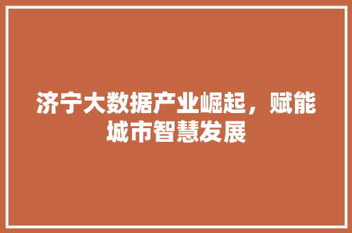 济宁大数据产业崛起，赋能城市智慧发展