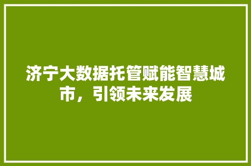 济宁大数据托管赋能智慧城市，引领未来发展