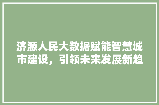 济源人民大数据赋能智慧城市建设，引领未来发展新趋势