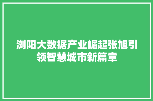 浏阳大数据产业崛起张旭引领智慧城市新篇章