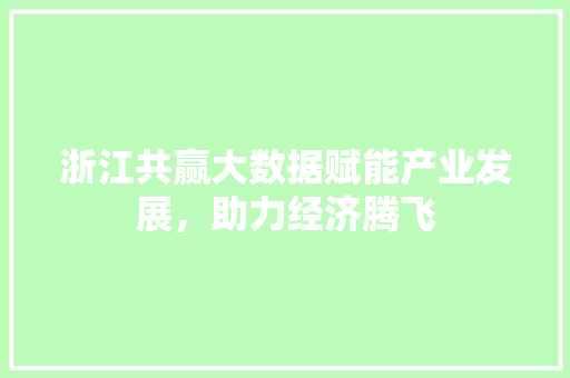 浙江共赢大数据赋能产业发展，助力经济腾飞