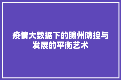 疫情大数据下的滕州防控与发展的平衡艺术